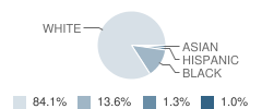 Drummonds Elementary School Student Race Distribution