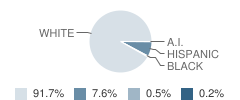 Unicoi County Middle School Student Race Distribution