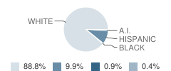 Irving College Elementary School Student Race Distribution