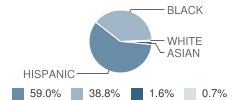 Spence Elementary School Student Race Distribution