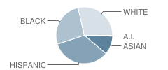 Manvel High School Student Race Distribution