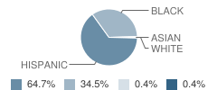 Overton Elementary School Student Race Distribution