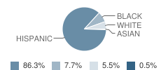 Perez Elementary School Student Race Distribution