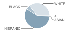 Cedar Creek Intermediate School Student Race Distribution