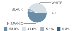 Lost Pines Elementary School Student Race Distribution