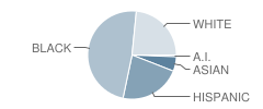 North Crowley High School 9th Grade Campus Student Race Distribution