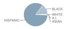 J T Brashear Elementary School Student Race Distribution