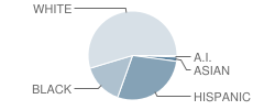 Middle School #5 Student Race Distribution