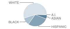 Chisholm Ridge School Student Race Distribution