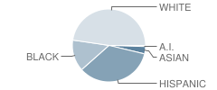 Saginaw High School Student Race Distribution