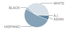 E-15 Nw Elementary School Student Race Distribution