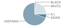 Ms-4 Nw Middle School Student Race Distribution