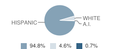 Fort Hancock High School Student Race Distribution