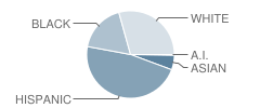 Morton Ranch High School Student Race Distribution