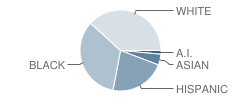 Saegert Elementary School Student Race Distribution