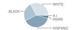 William Velasquez School Student Race Distribution