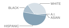 Hackberry Elementary School Student Race Distribution