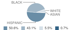 Dunbar Middle School Student Race Distribution