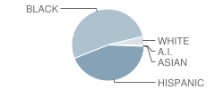 Estacado High School Student Race Distribution