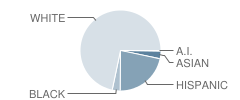 Irons Middle School Student Race Distribution