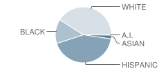 Mackenzie Middle School Student Race Distribution