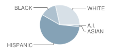 Smylie Wilson Middle School Student Race Distribution