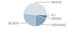 Martha Reid Elementary School Student Race Distribution