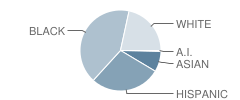 Thelma Jones Elementary School Student Race Distribution