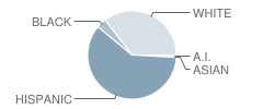 Potranco Elementary School Student Race Distribution