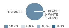 John F Kennedy Elementary School Student Race Distribution