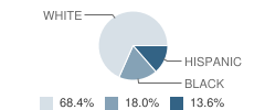 Rusk Intermediate School Student Race Distribution