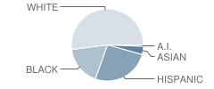 Byron P Steele Ii High School Student Race Distribution