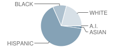 Sheldon Elementary School Student Race Distribution