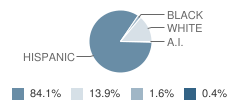 Sinton Elementary School Student Race Distribution