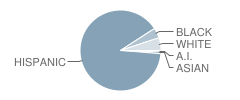 Hurshel Antwine School Student Race Distribution