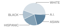 Tibbals Elementary School Student Race Distribution