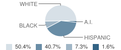 Rochester Junior High School Student Race Distribution