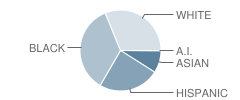 New Elementary #24 School Student Race Distribution