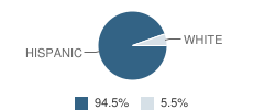 New Elementary School Student Race Distribution