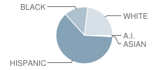 Blake Manor Elementary School Student Race Distribution