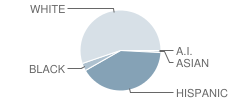 Navarro Middle School Student Race Distribution