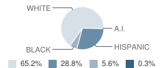 High Point Elementary School Student Race Distribution