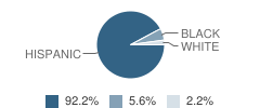 Kipp Austin Collegiate School Student Race Distribution