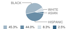 Jones Elementary School Student Race Distribution