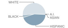 Fairview Junior High School Student Race Distribution