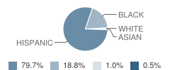 Eastside Memorial Global Technology High School Student Race Distribution