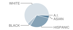 Johnson Ranch Elementary School Student Race Distribution