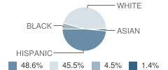 Bozman Intermediate School Student Race Distribution