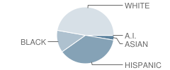 Ed Willkie Middle School Student Race Distribution