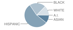 George Washington Carver Elementary School Student Race Distribution